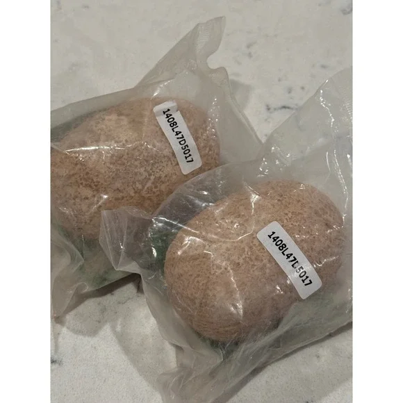 Digit! Dinos Dinosaur Egg Excavation Kit Thames & Kosmos Ages 5+ - Picture 3 of 5